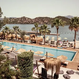book here